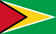 Guyana kansallislippu